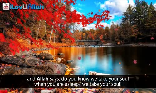 Dua Before Sleeping  _ Mufti Menk