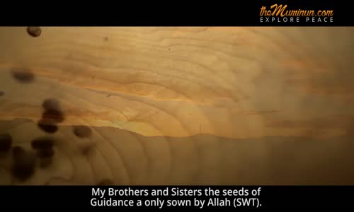 Seeds Of Guidance _ Mufti Menk