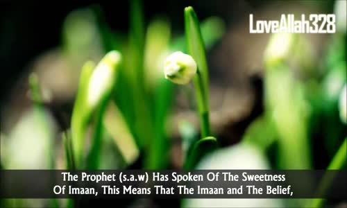 The Sweetness Of Imaan - Mufti Menk HD