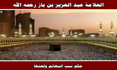 ‫حكم سب البهائم ولعنها - الشيخ عبد العزيز بن باز ‬‎ 