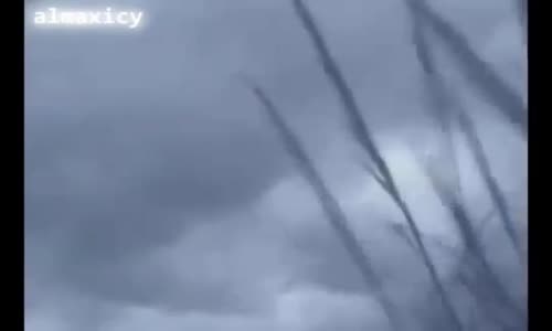 ‫الله يخاطب آدم عند خروجه من الجنه‬‎ 