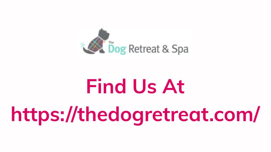 The Dog Retreat & Spa