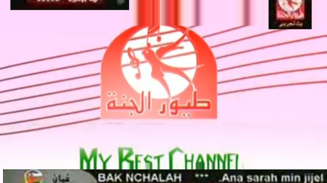 2008 Toyor Al Janah My Best Channel