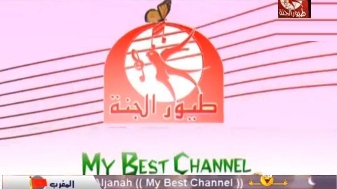 Almo7eb.com Toyor Al Janah My Best Channel