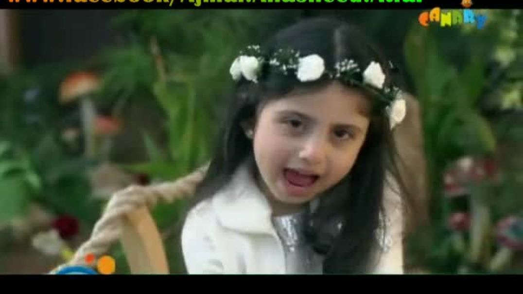 أنشودة وردة بيضا - ريماس العزاوي - قناة كناري