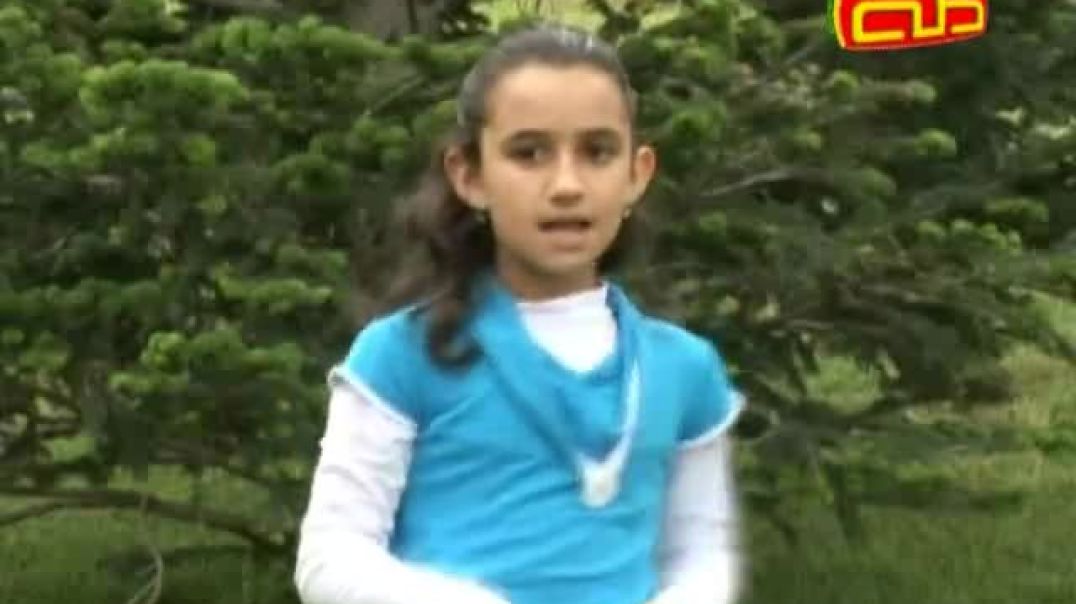 أنشودة السلحفاة - قناة طه