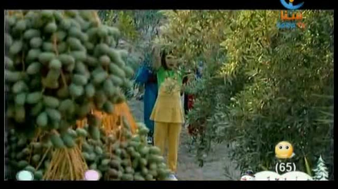 أنشودة النخلة - قناة سنا