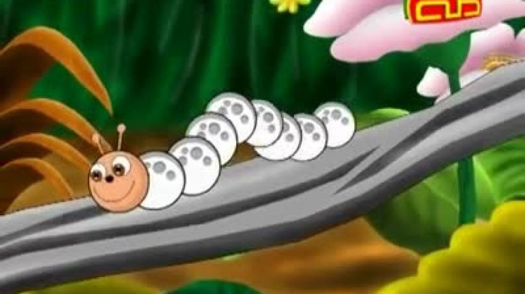 أنشودة الدودة - قناة طه