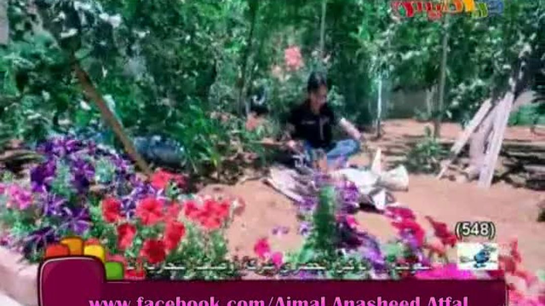 أنشودة ليه تعمل حريقة - أمل قطامي - كراميش