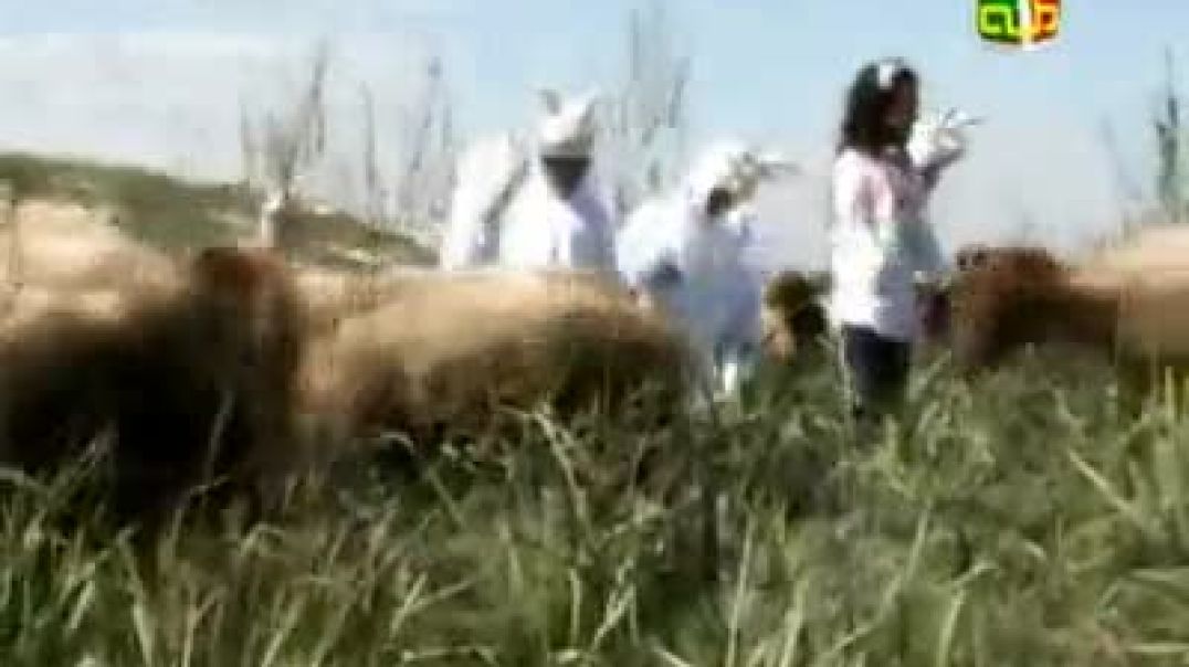 أنشودة الخاروف - قناة طه