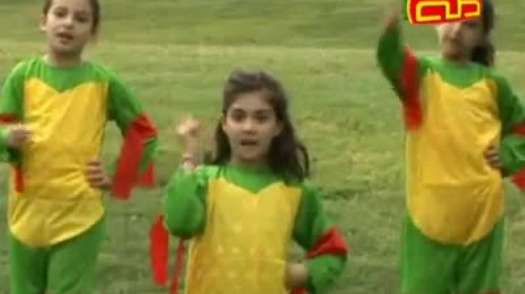 أنشودة السلحفاة - قناة طه