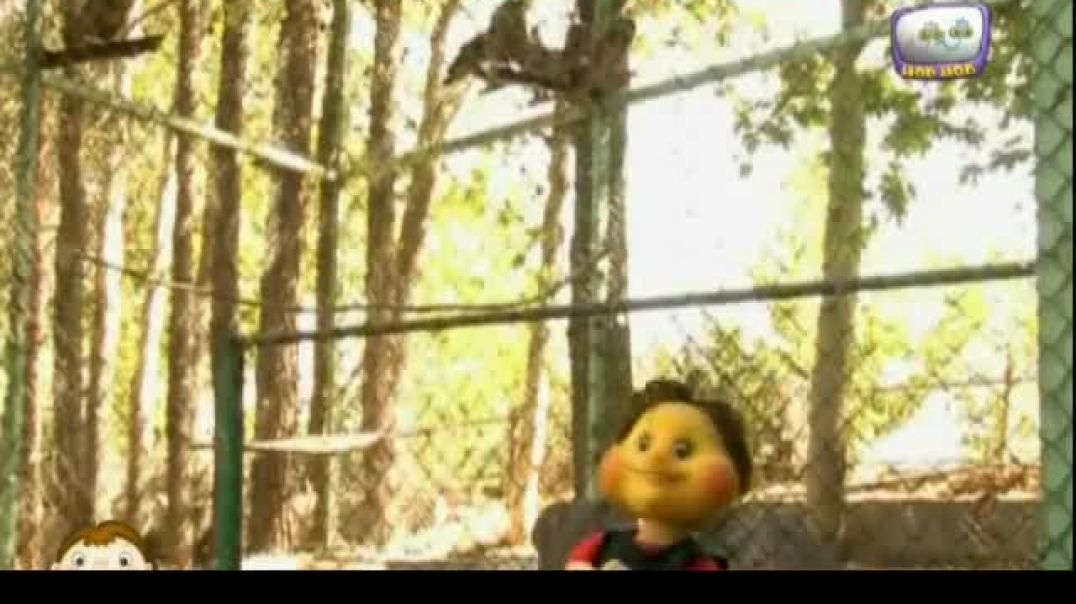 عماد في حديقة الحيوانات - البوم