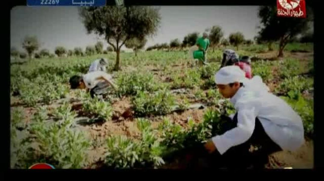 أنشودة يا سميع - طيور الجنّة