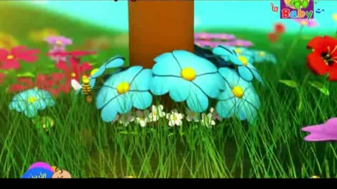 أنشودة النحلة - طيور الجنة بيبي