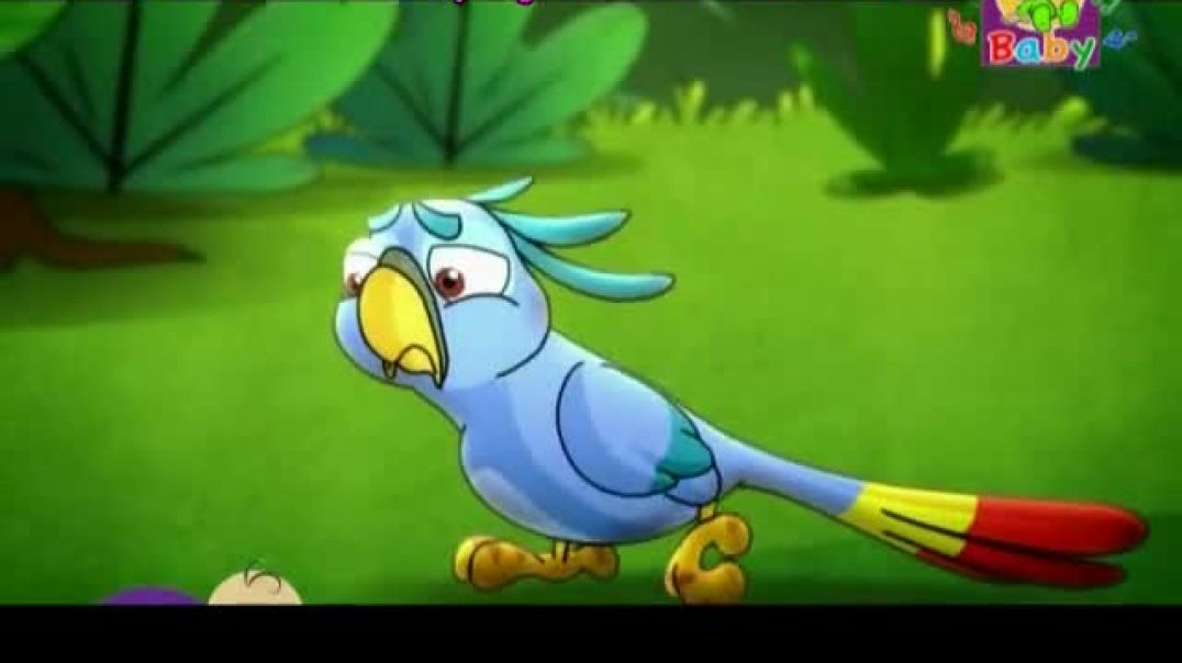 أنشودة الببغاء - طيور الحنة