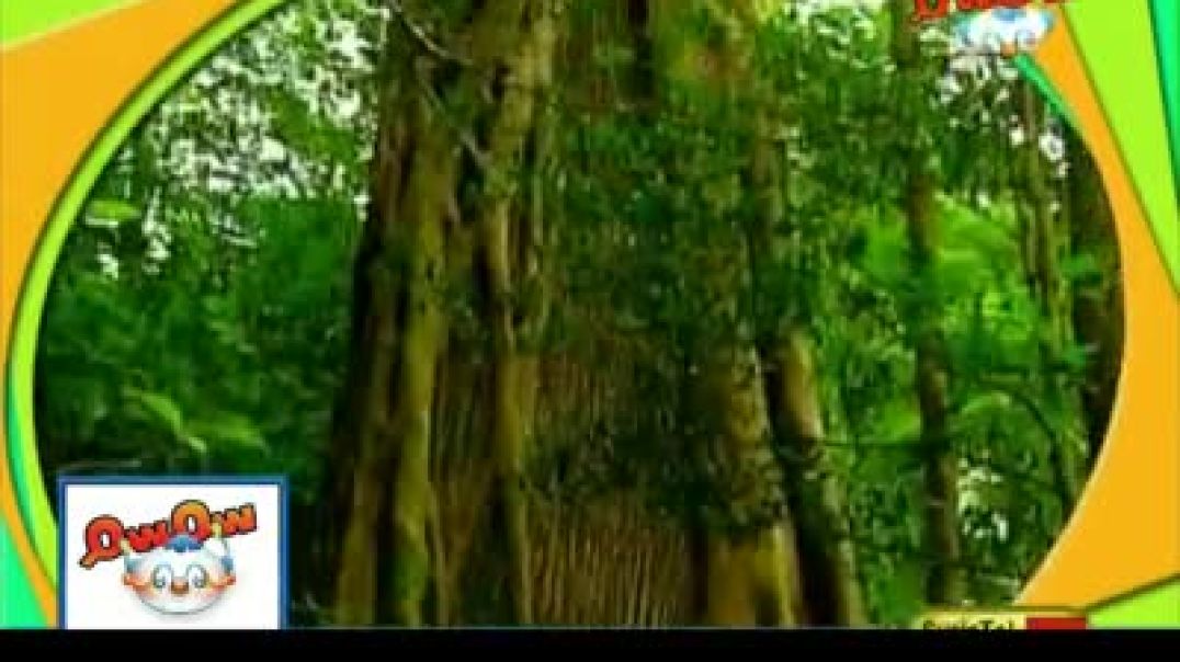 أغاريد الأرقام - أنشودة مصرية