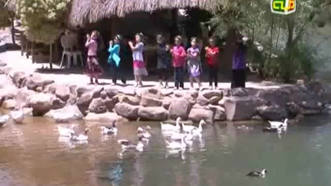 أنشودة إوزة و بطة - قناة طه