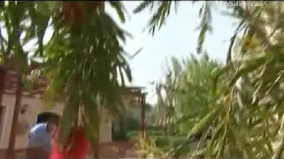 أنشودة عروس اللبنة - قناة طه