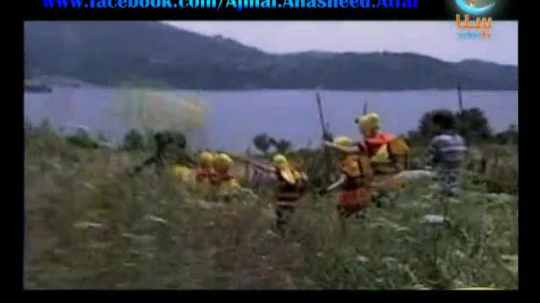 أنشودة النحلة - قناة سنا