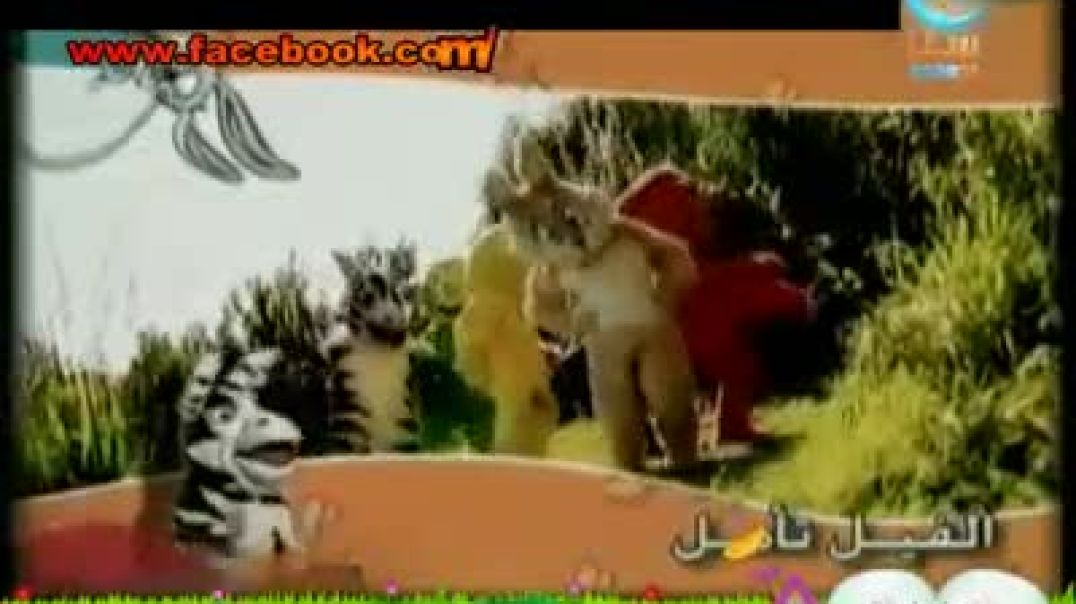 الفيل والغابة - قناة سنا
