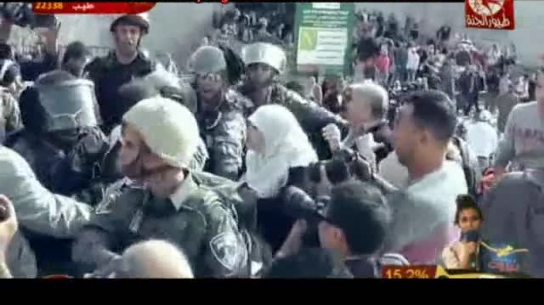 يما مويل الهوى - ديمة بشار - طيور الجنة