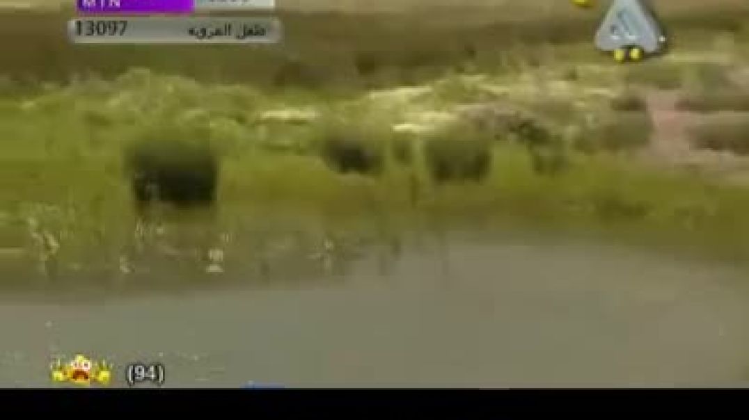 أنشودة نثر الزهر - قناة هادي