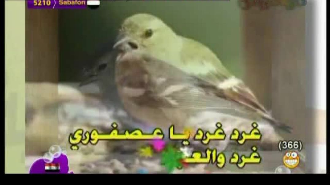 أنشودة غرد يا عصفوري