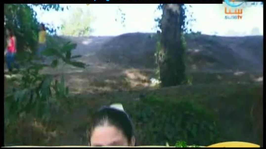 أنشودة أبي - عنان الخياط - قناة سنا