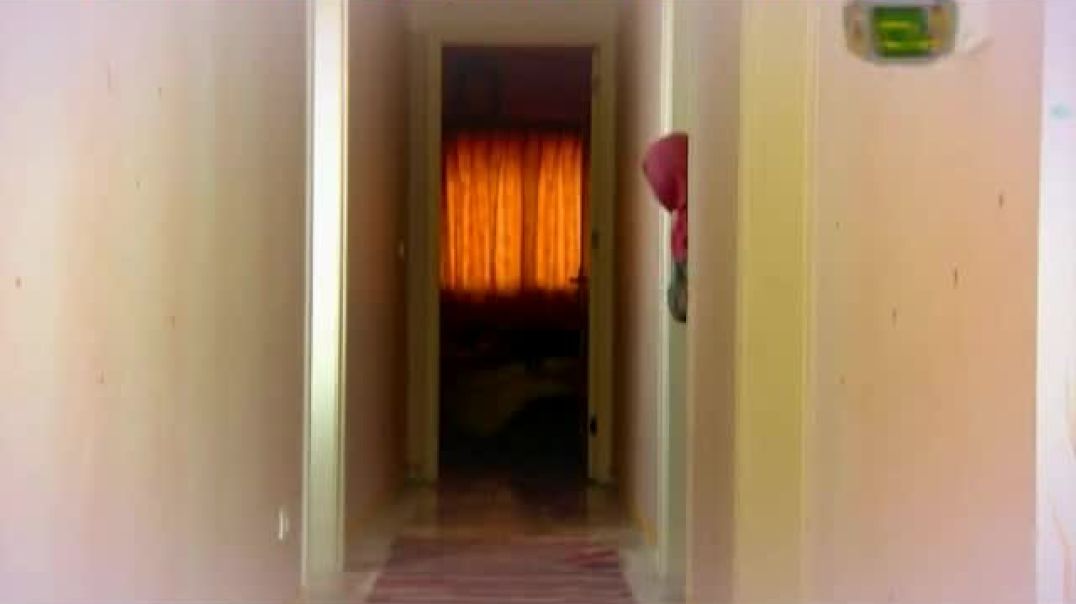 أنشودة تسع سنين - قناة طه