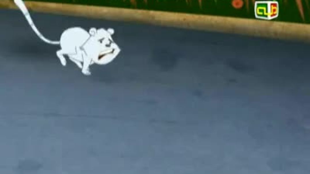 أنشودة ميزان الحكمة - قناة طه