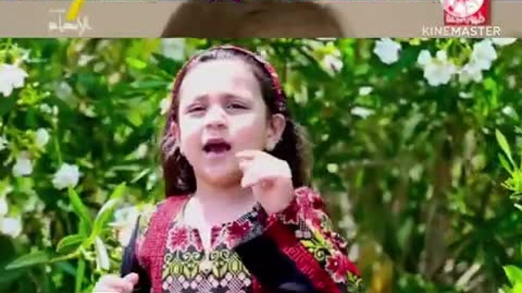 أنشودة بيت جدي - جنى مقداد - طيور الجنة