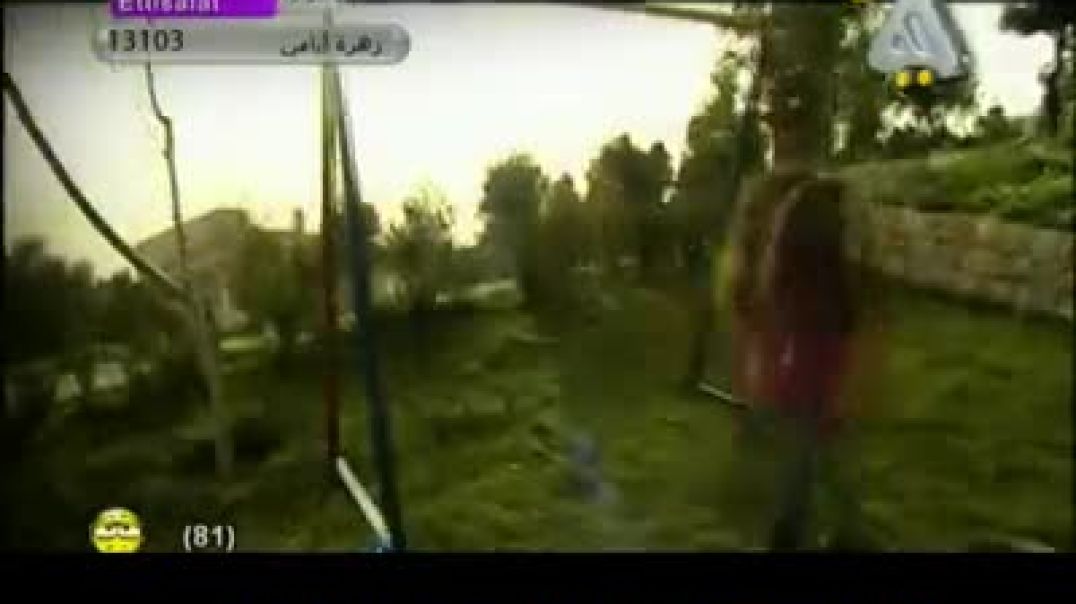 العصفور الدوري - قناة هادي