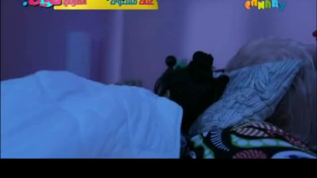 أنشودة شمس اليوم - سارة المنيع - كناري