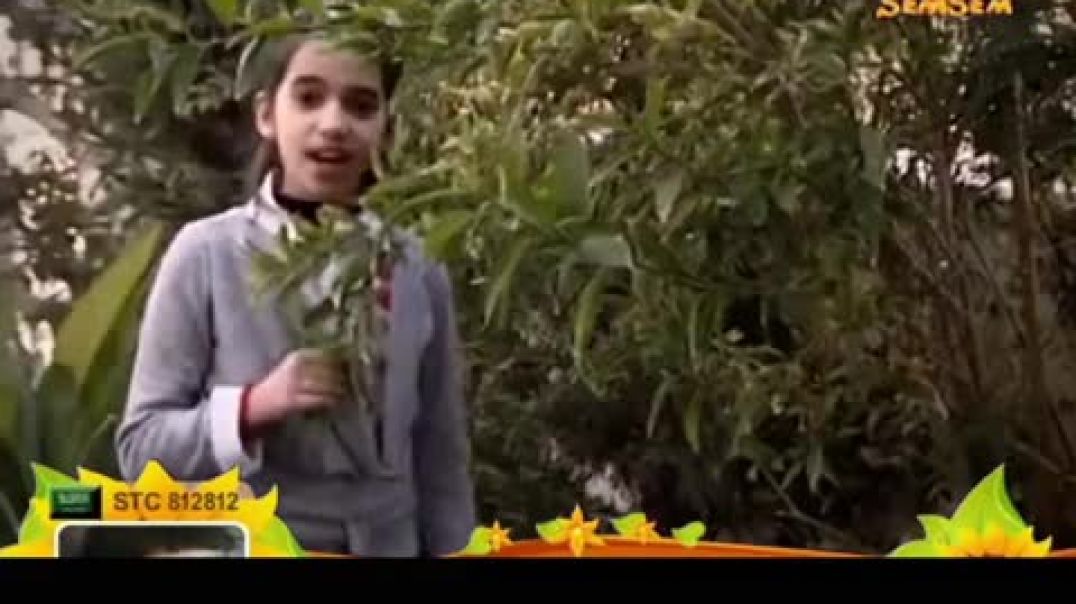 أنشودة في كل ما اراه - الثقة للإنتاج الفني