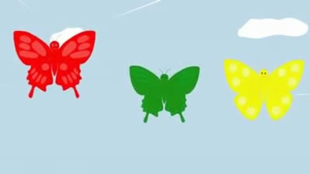 The Butterfly song أنشودة الفراشات