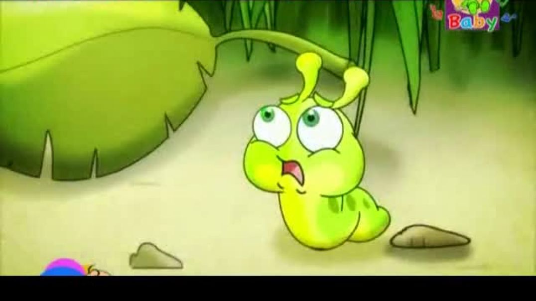 أنشودة الدودة - طيور الجنة بيبي