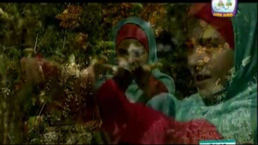 أنشودة هدهد الصغير - قناة هدهد