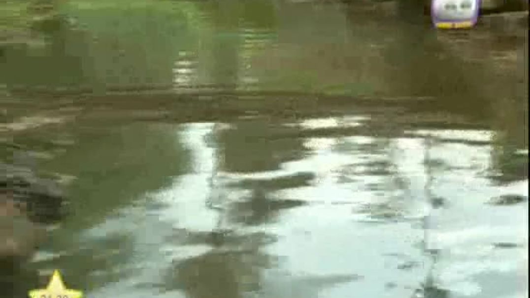 يا رب بالمصطفى بلغ مقاصدنا