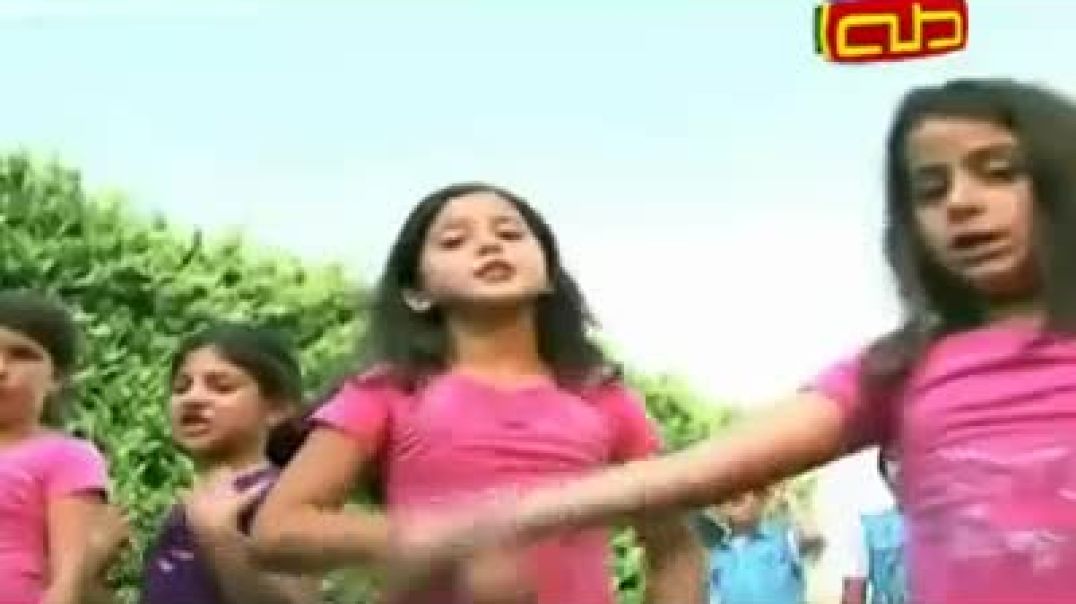 عنا دجاجه - قناة طه