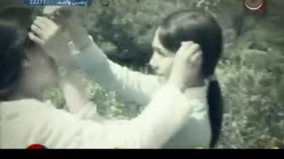 أنشودة وين أيامنا - طيور الجنة