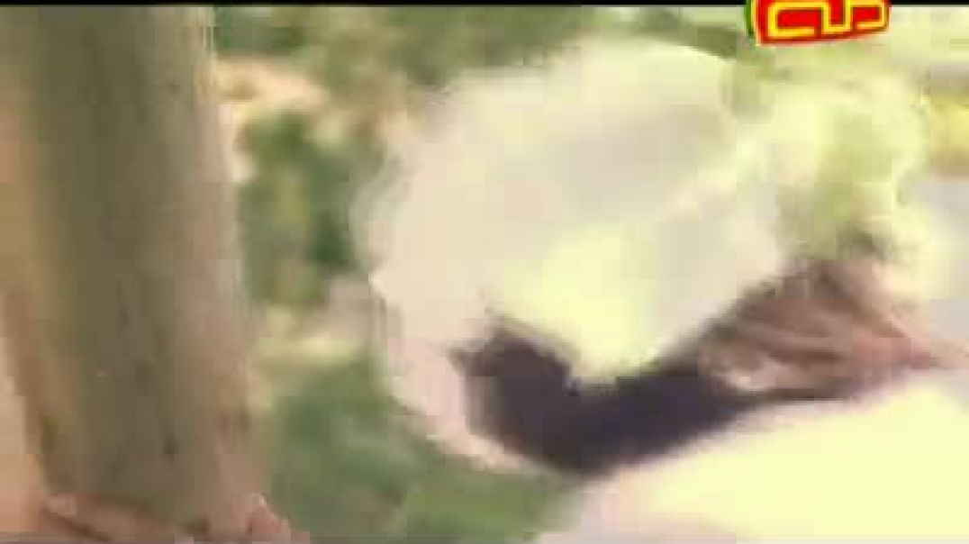 نشيد التفاح - قناة طه