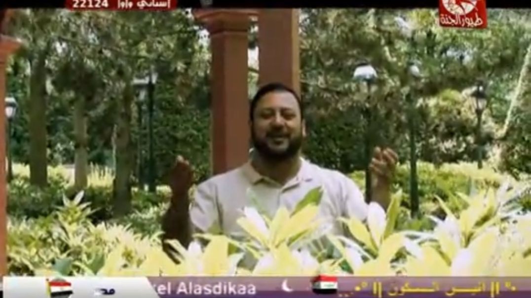 يلا حفلة طيور الجنة mpg