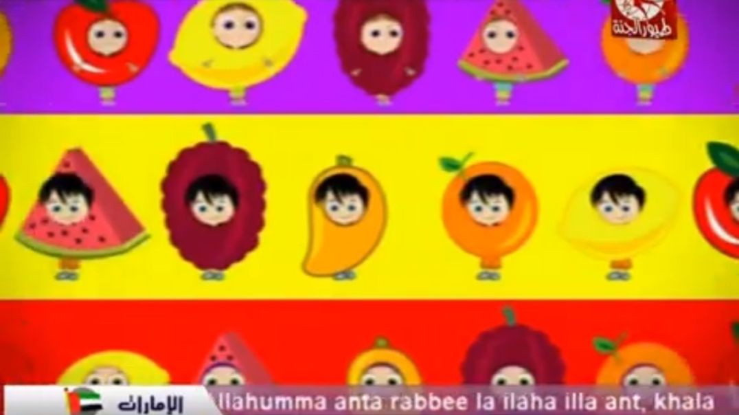 الفواكه طيور الجنة mpg