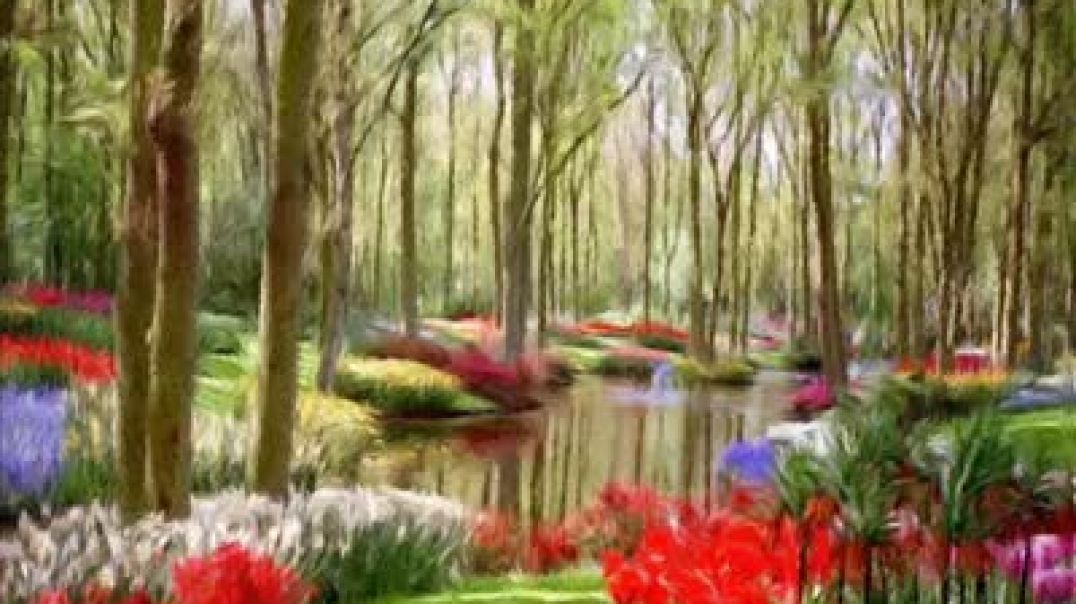 أنشودة نرجس - شكيب الخليفي