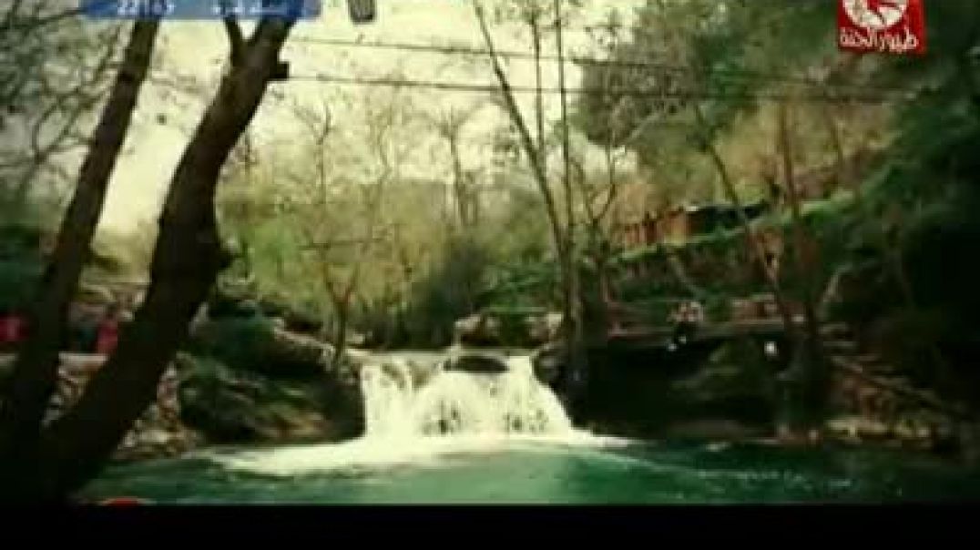 أنشودة باب الكريم - طيور الجنة