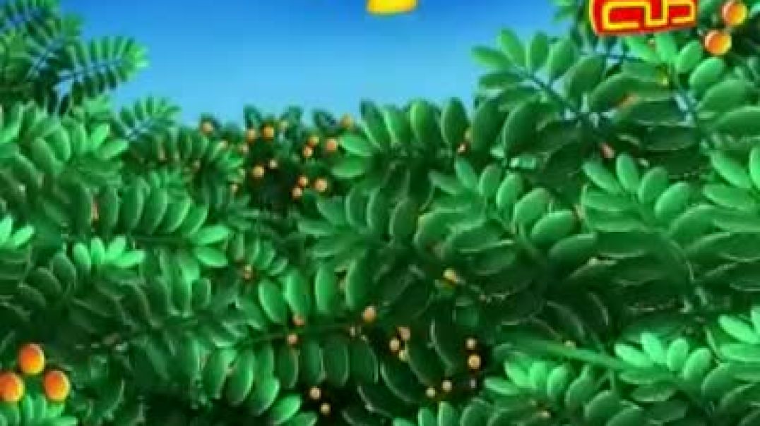 أنشودة أنا عصفورة - قناة طه