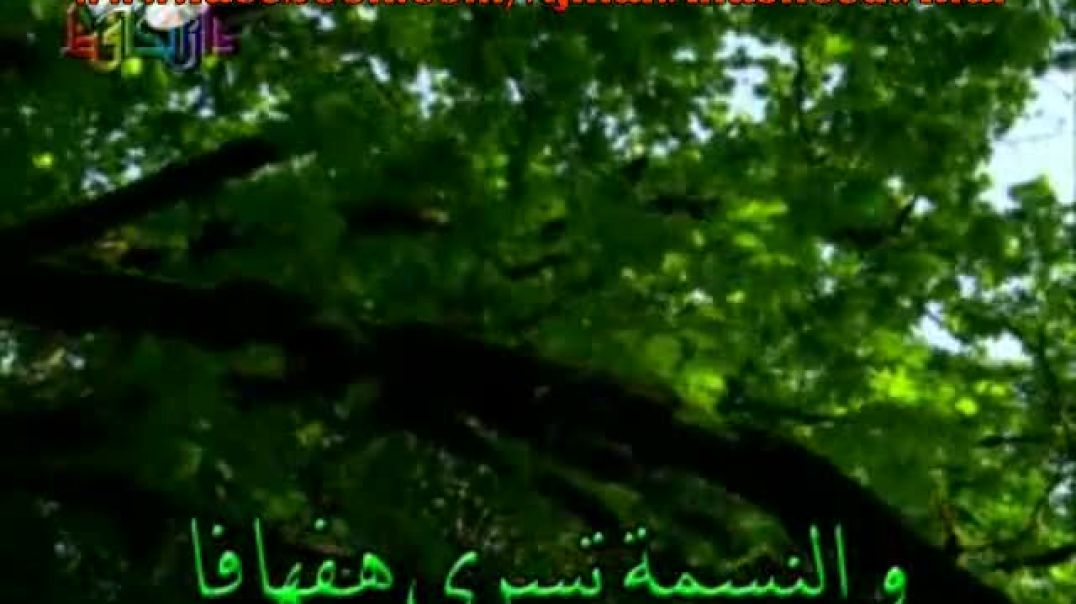 أنشودة الحقل الأخضر - عنان الخياط