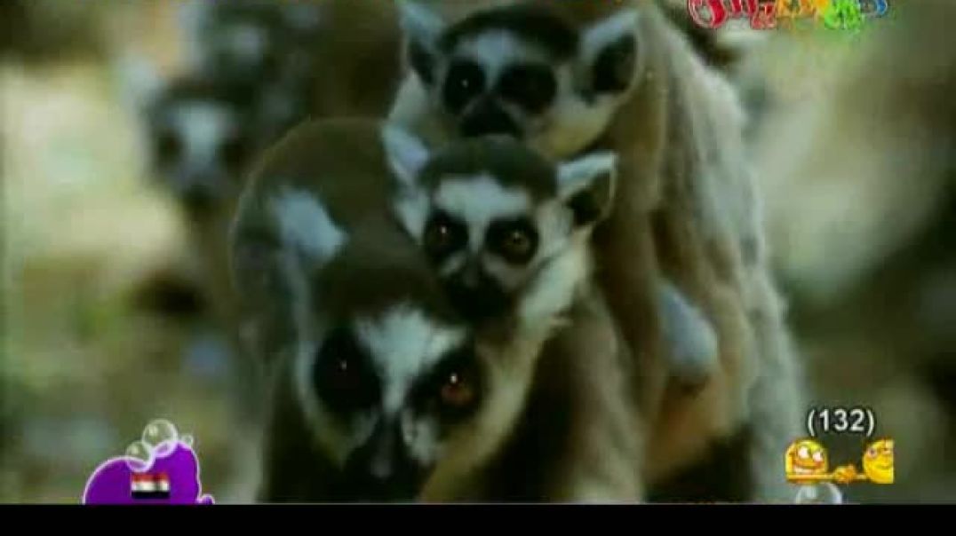 أنشودة أدعوك - قناة كراميش