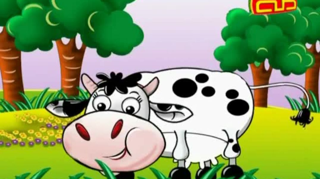 أنشودة البقرة النعومة - قناة طه