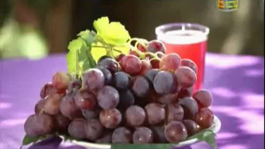 أنشودة العنب - قناة طه